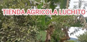 Tienda Agricola Luchito