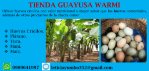 Tienda Huayusa Warmi