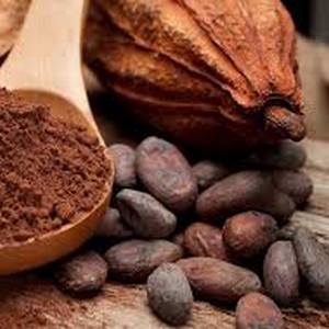 Cacao