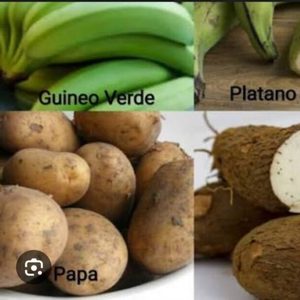 Productos orgánicos