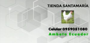 Tienda Santamaría