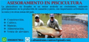Asesoramiento en piscicultura