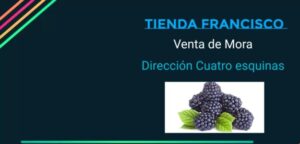 TIENDA FRANCISCO