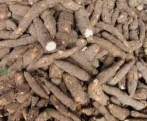 venta de yuca