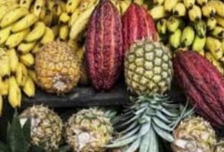 Barios productos