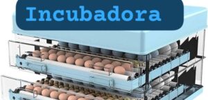 Icubadora de huevos