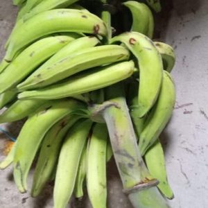 Plátano dominico