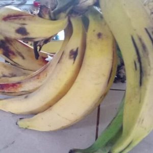 Plátano garrabanete maduro