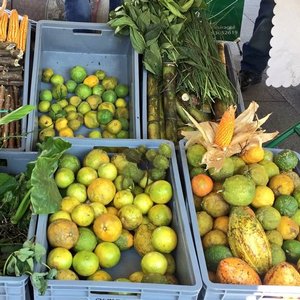 Productos de la zona