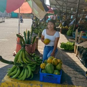 Verde, paya y mucho más