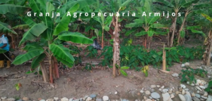 Granja Agrooecuaris "ARMIJOS"