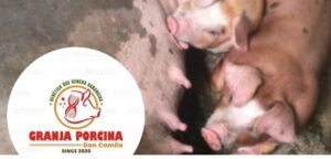 Granja Porcina don Camilo