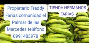 TIENDA HERMANOS FARIAS