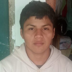 ventas de plantas de cacao