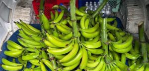 Venta de productos de la zona