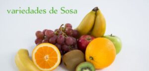 Variedades de Sosa