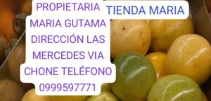 Tienda Maria