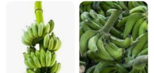 Venta de racimos de plátano