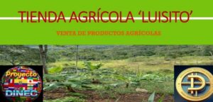 Comercio Luisito