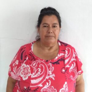 Emprendimiento de chanchos