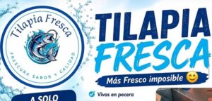 TILAPIA FRESCA