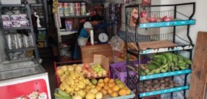 Viverespol