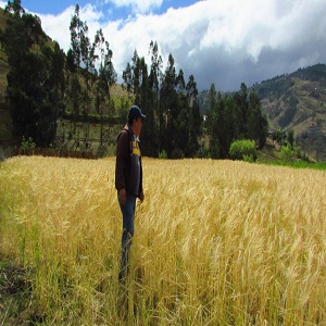 Asistecia en AgroecologĂa