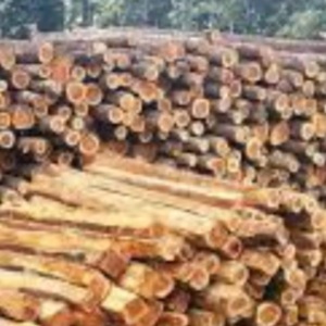 desposito de madera